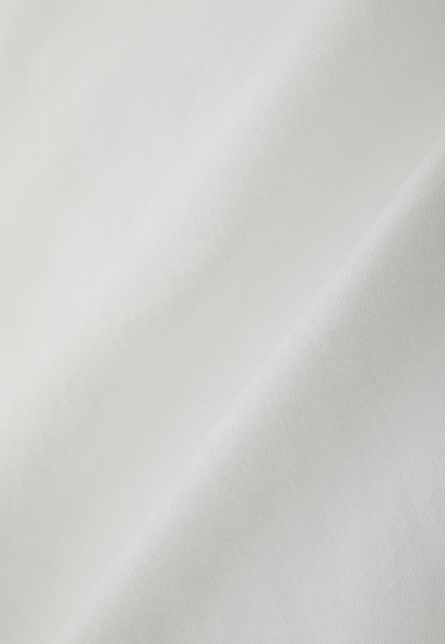 【追加】シアーロングスリーブＴシャツ 詳細画像 Offwhite 12