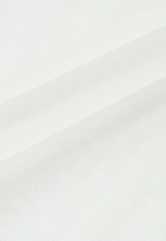 シアーＴシャツ 詳細画像 Offwhite 6