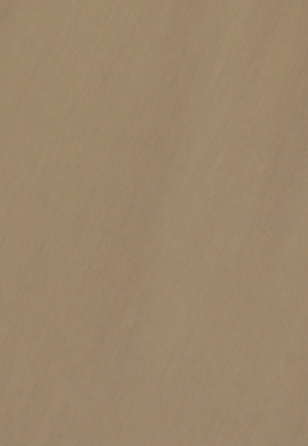 テンセルワイドパンツ 詳細画像 Khaki 12