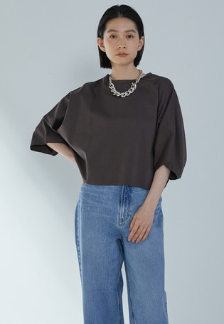 【予約】ハイゲージポンチクロップドTシャツ