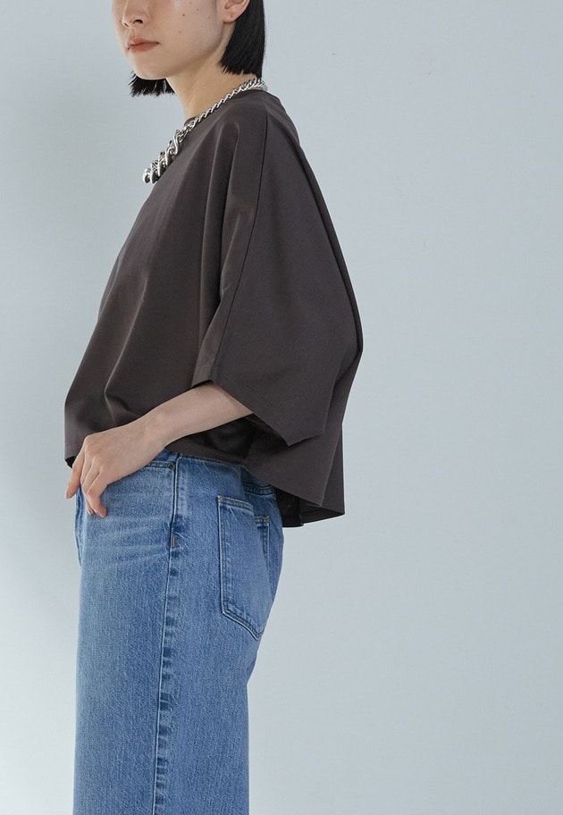 【予約】ハイゲージポンチクロップドTシャツ 詳細画像 Brown 3
