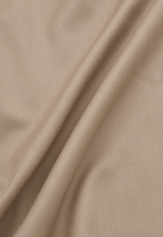 ウールサテンシャツ 詳細画像 Beige 12