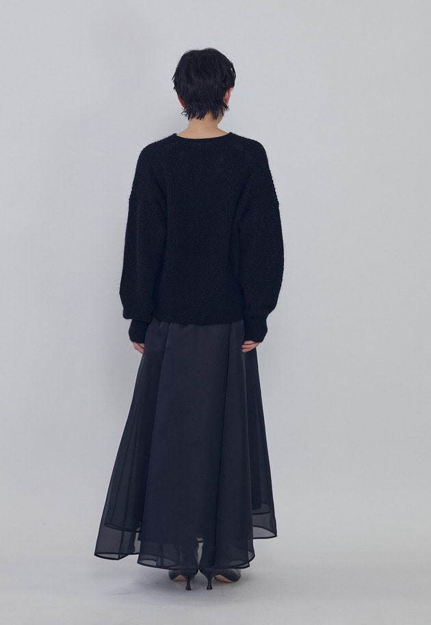 オーガンジースカート 詳細画像 Black 9