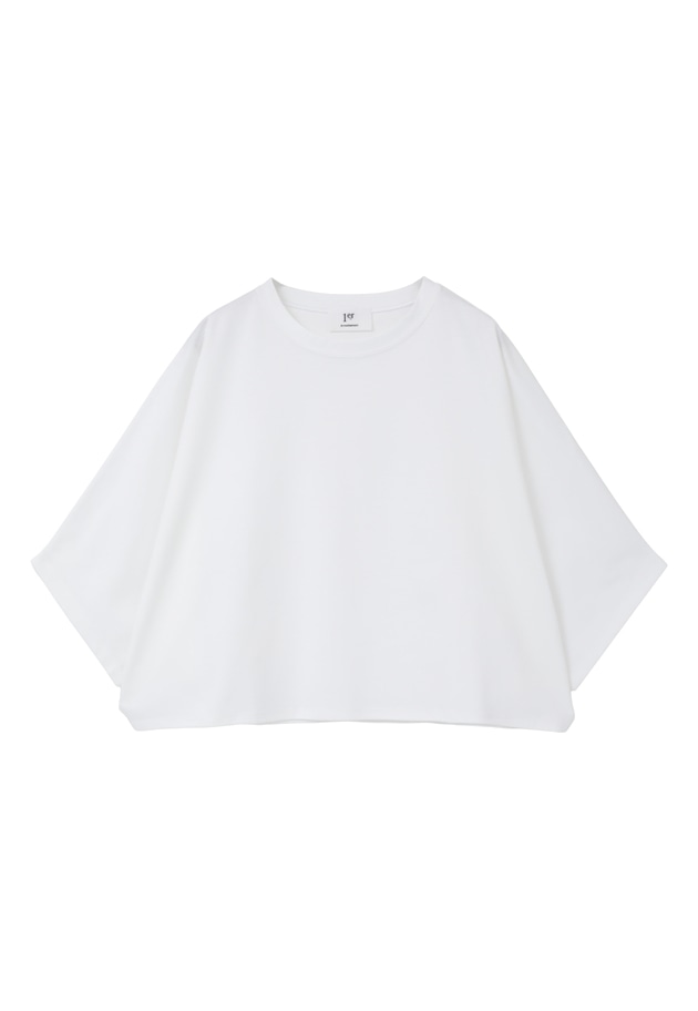 ハイゲージポンチクロップドＴシャツ 詳細画像 Offwhite 11