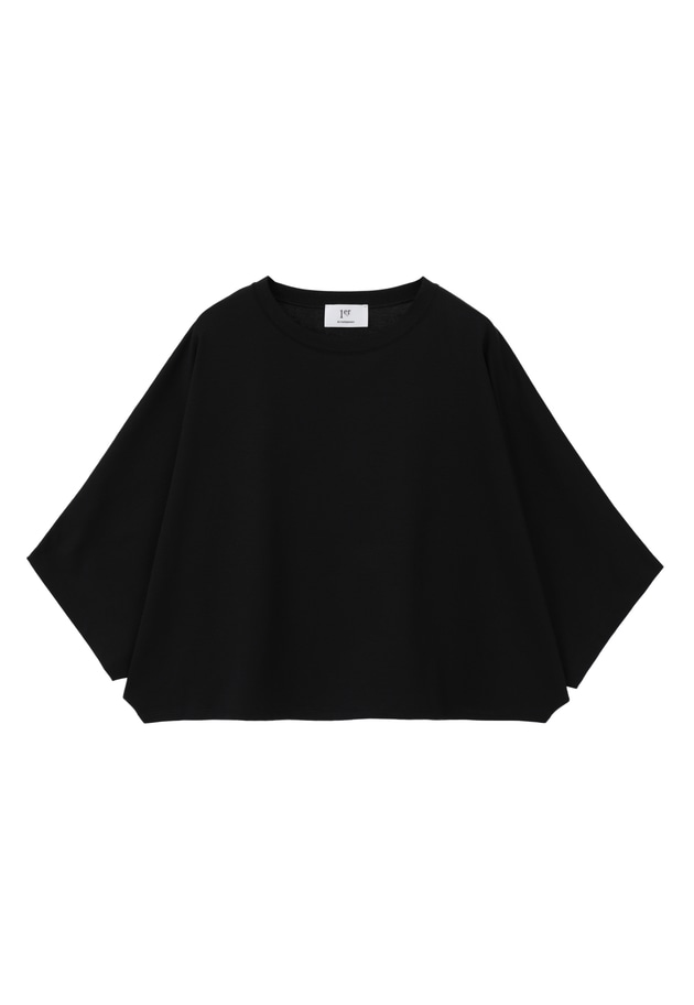 ハイゲージポンチクロップドＴシャツ 詳細画像 Black 11