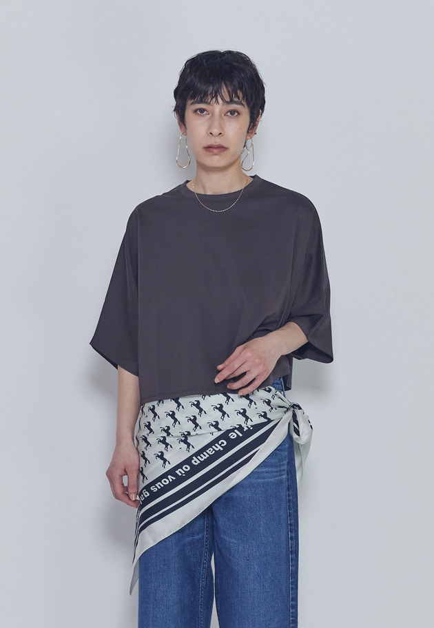 【予約・追加】ハイゲージポンチクロップドＴシャツ 詳細画像 Brown 1