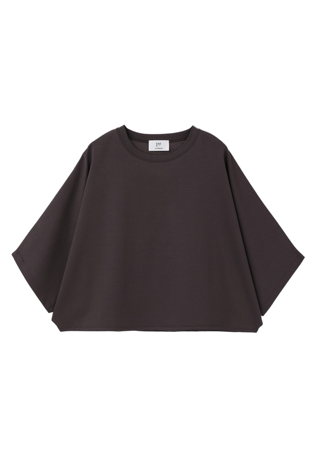 ハイゲージポンチクロップドＴシャツ 詳細画像 Brown 11