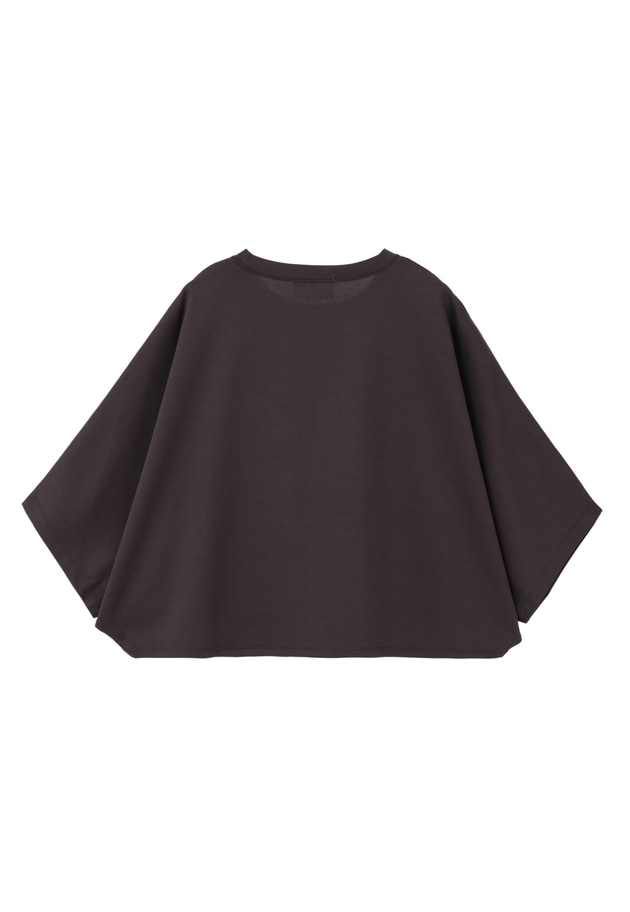ハイゲージポンチクロップドＴシャツ 詳細画像 Brown 12