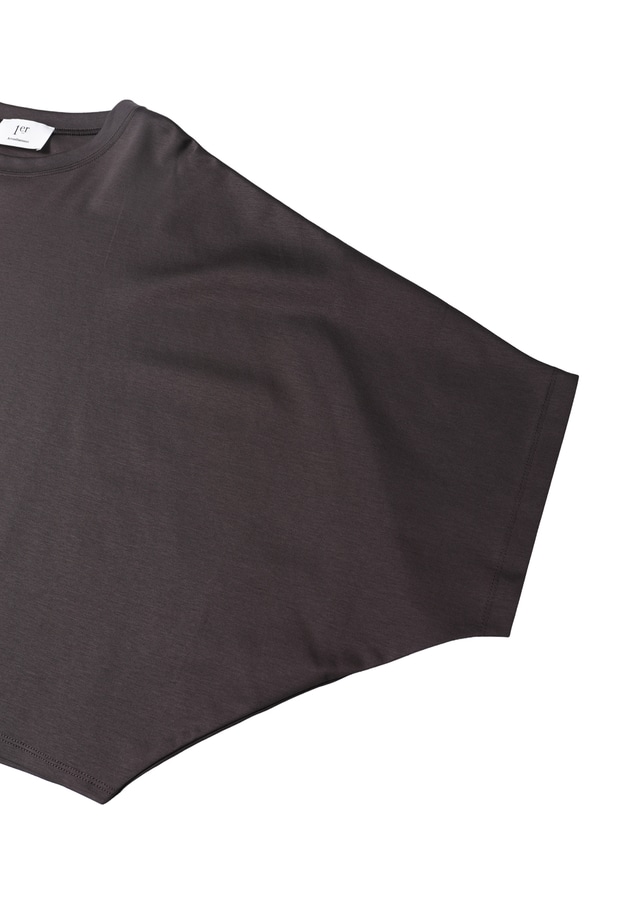 ハイゲージポンチクロップドＴシャツ 詳細画像 Brown 14