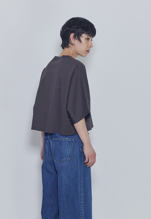【予約・追加】ハイゲージポンチクロップドＴシャツ 詳細画像 Brown 3